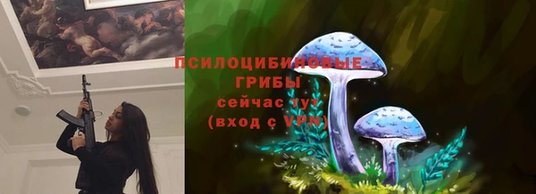спайс Медвежьегорск