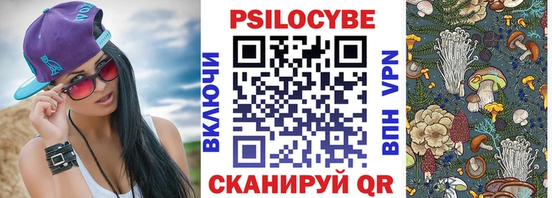 Псилоцибиновые грибы прущие грибы  Данков 